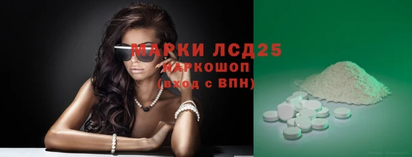 винт Абаза