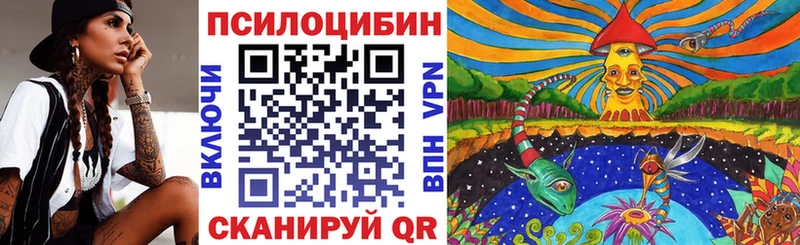 Псилоцибиновые грибы мицелий купить закладку Шилка
